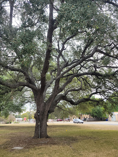 Museum «Gonzales Memorial Museum», reviews and photos