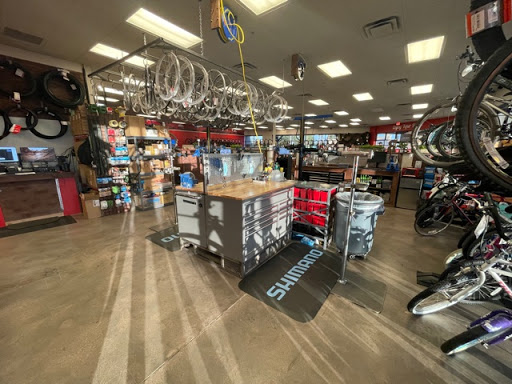 Bicycle Store «Global Bikes - Bike Shop Chandler South», reviews and photos, 1055 S Arizona Ave #9, Chandler, AZ 85286, USA