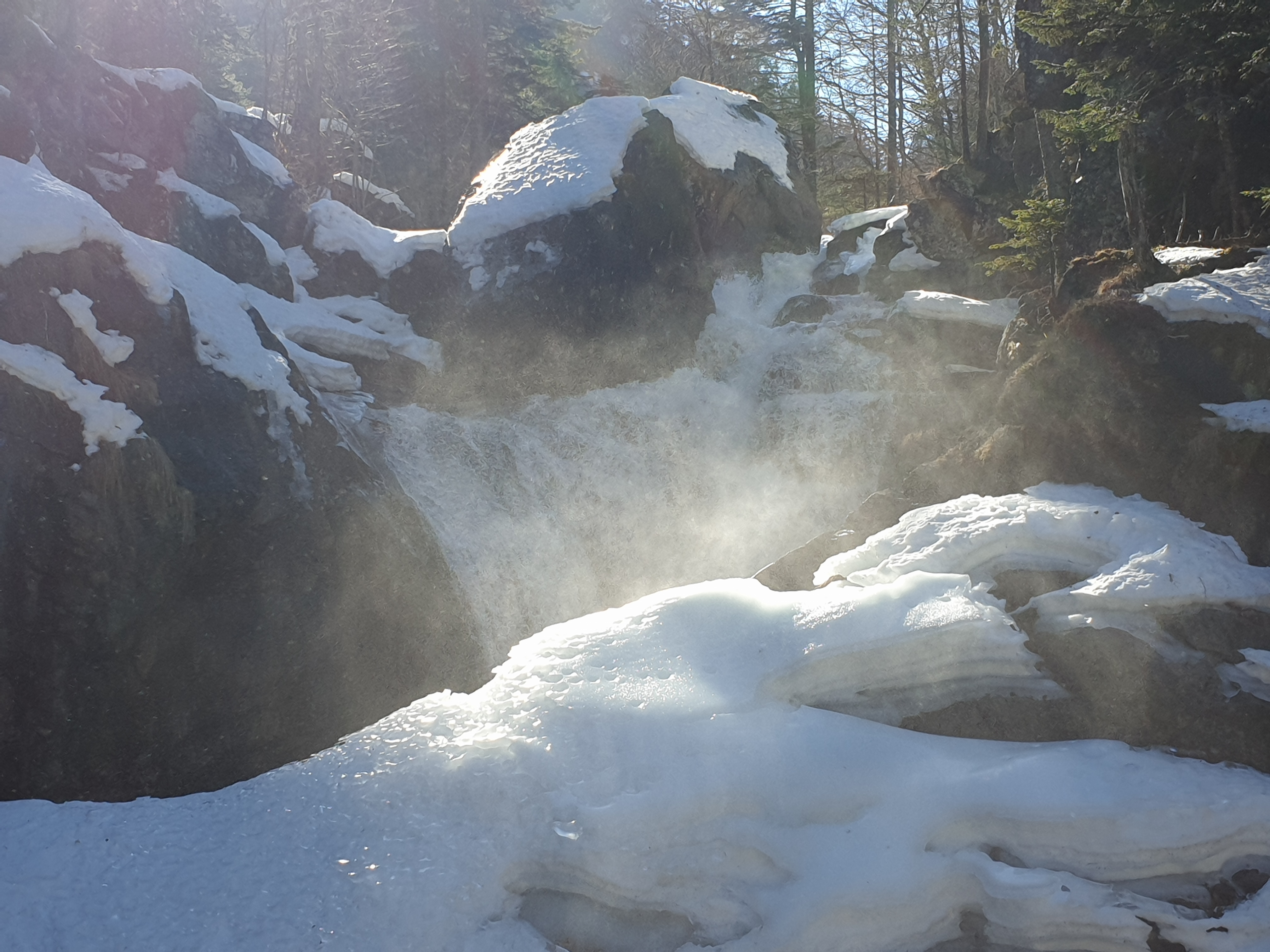 Photo n° 1 de l'avis de Txiqui.1 fait le 31/03/2019 à 06:54