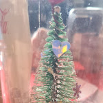 Photo n°11 de l'avis de Marco.i fait le 04/01/2024 à 14:19 sur le  Giglio Rosso à Naples