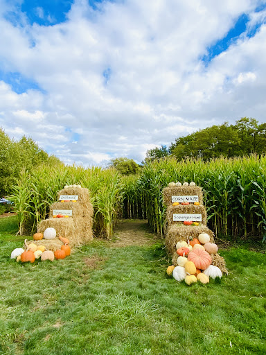 Florist «Greengable Gardens», reviews and photos, 24689 Grange Hall Rd, Philomath, OR 97370, USA