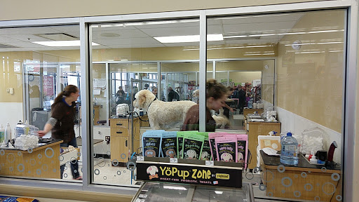 Pet Supply Store «Petco Animal Supplies», reviews and photos, 9 W Avon Rd, Avon, CT 06001, USA