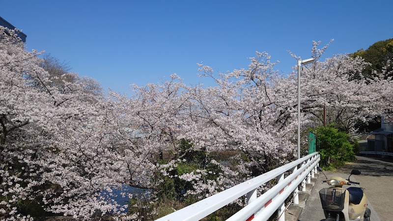 東大阪市立日新高等学校