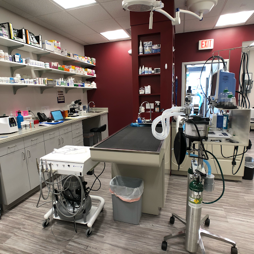 Briarlake Animal Hospital image