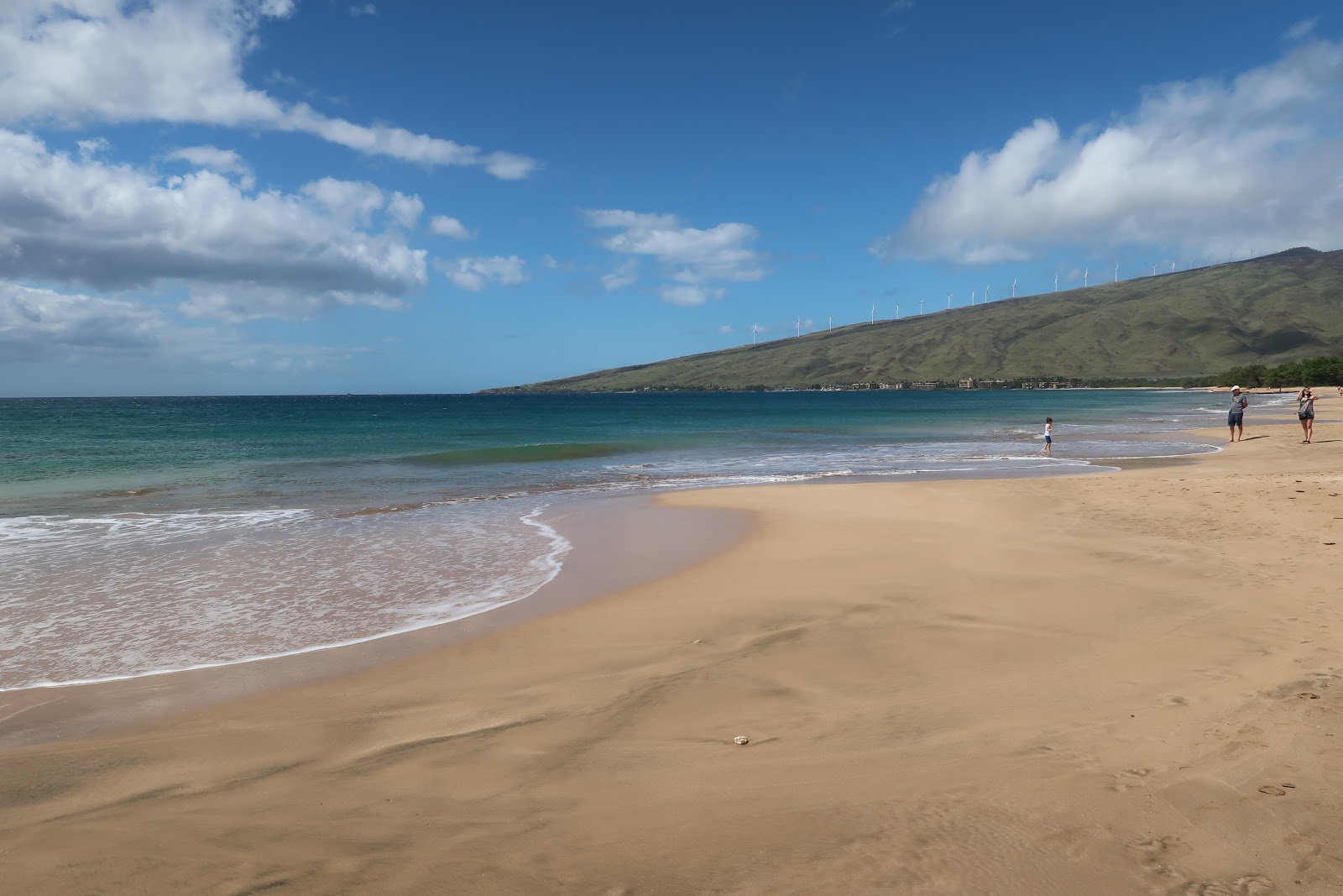 Maalaea Beach的照片 带有长直海岸