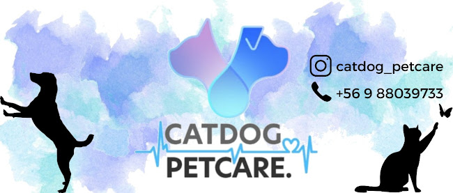 Catdog Petcare - Providencia