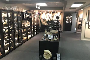 natur showroom image