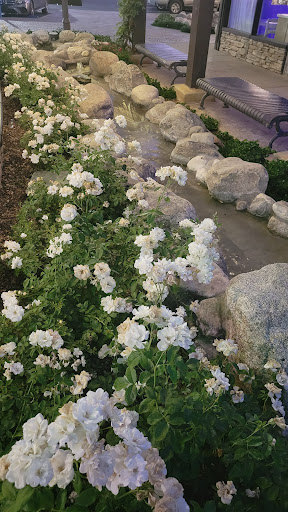 Shopping Mall «Canyon Crest Towne Centre», reviews and photos, 5227 Canyon Crest Dr, Riverside, CA 92507, USA