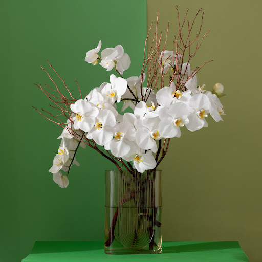 Florist «Bloom by Anuschka», reviews and photos, 2353 E 3rd Ave, Denver, CO 80206, USA