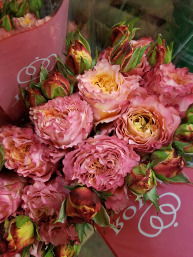 Florist «Sieck-Wright Floral Products», reviews and photos, 231 Monmouth St, Hightstown, NJ 08520, USA