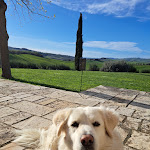 Photo n°1 de l'avis de VERONICA.U fait le 07/04/2024 à 18:04 sur le  Relais Val d'Orcia à Pienza