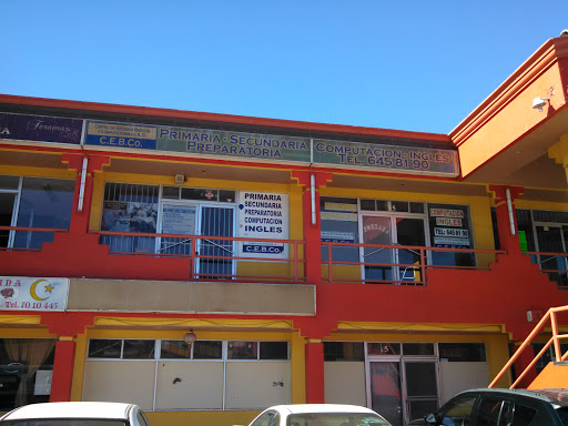 Centro de Estudios Básicos y Computacionales, A.C.