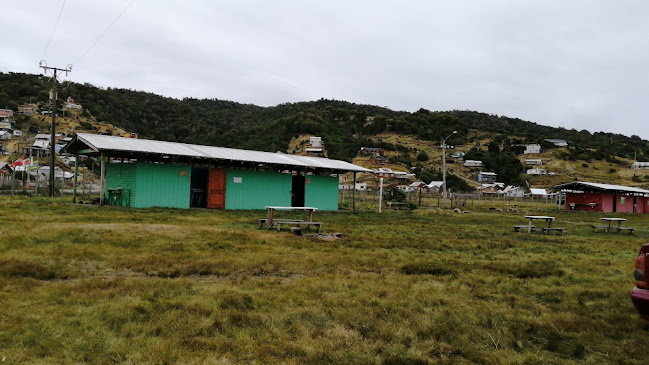 Opiniones de Camping Pucatrihue en San Juan de la Costa - Camping