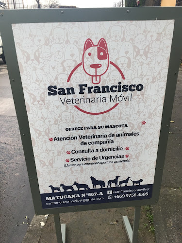 San Francisco Veterinaria Movil