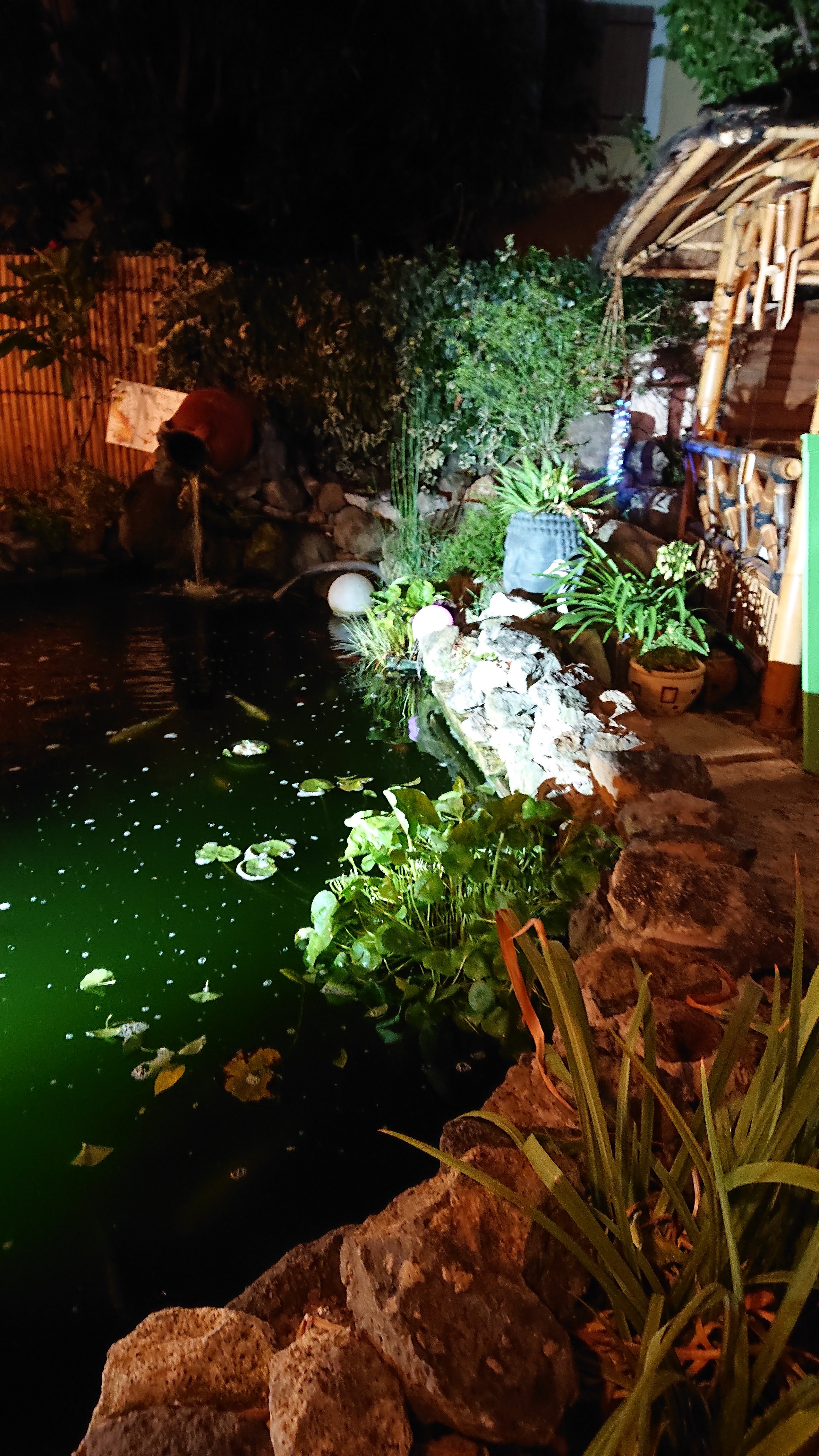 Photo n° 2 de l'avis de Veronique.a fait le 21/09/2020 à 05:37