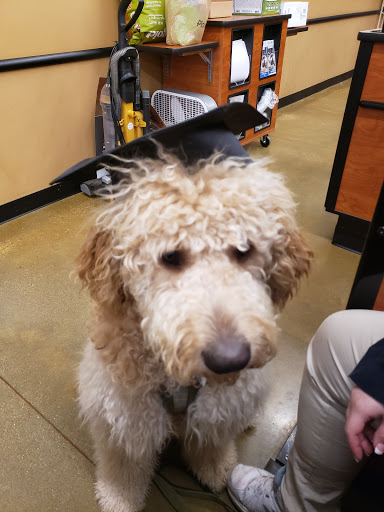 Pet Supply Store «PetSmart», reviews and photos, 320 W Town Square Way, Oak Creek, WI 53154, USA