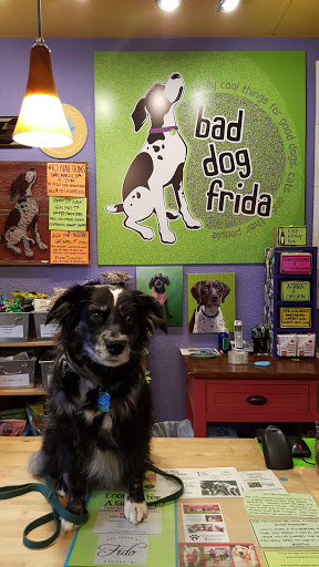Pet Supply Store «Bad Dog Frida», reviews and photos, 2094 Atwood Ave, Madison, WI 53704, USA