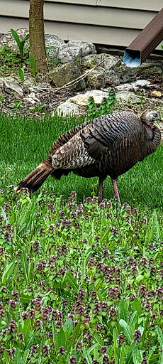 Market «Milwaukee Public Market», reviews and photos, 400 N Water St, Milwaukee, WI 53202, USA