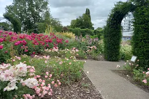 Jellicoe Water Gardens - Flower Garden image