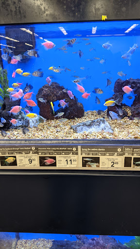 Pet Supply Store «Petco Animal Supplies», reviews and photos, 8164 Mall Pkwy, Lithonia, GA 30038, USA