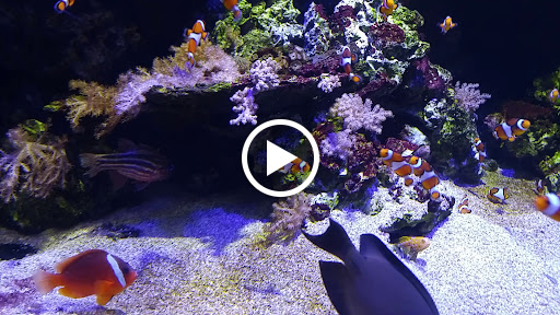 Amusement Center «LEGOLAND at Discovery Center Kansas City», reviews and photos, 2475 Grand Blvd, Kansas City, MO 64108, USA