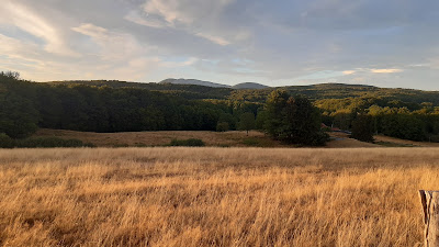 Le Maraîcher RadisKale à Plancher-Bas