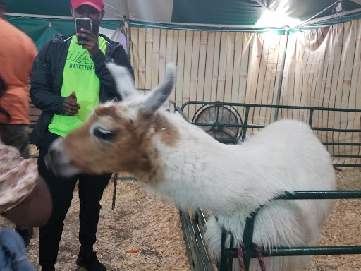 Live Music Venue «Oak Mountain Amphitheatre», reviews and photos, 1000 Amphitheater Rd, Pelham, AL 35124, USA