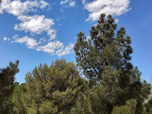 Park «Angel Park», reviews and photos, Angel Park Trail, Las Vegas, NV 89145, USA