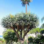 Photo n°18 de l'avis de Vitali.i fait le 25/09/2023 à 13:42 sur le  Grand Hotel Royal à Sorrento