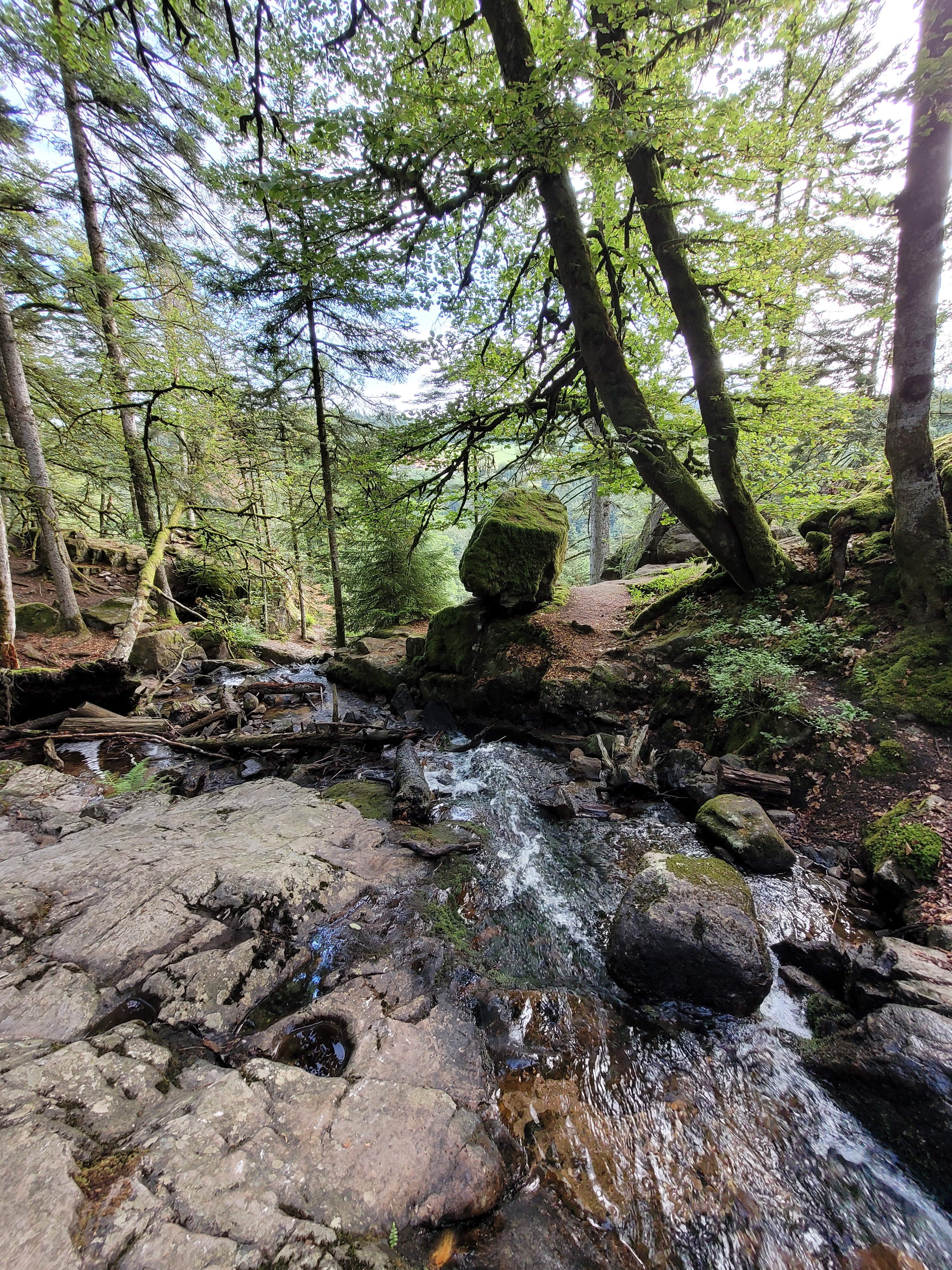 Photo n° 3 de l'avis de didji.a fait le 26/07/2023 à 18:58