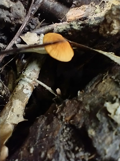 Golf Course «California Golf Course», reviews and photos, 5924 Kellogg Ave, Cincinnati, OH 45228, USA