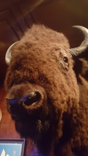 Night Club «The Back Door», reviews and photos, 207 S College Ave, Bloomington, IN 47404, USA