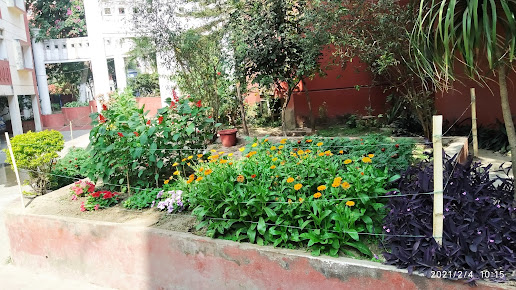 Google Maps image 17