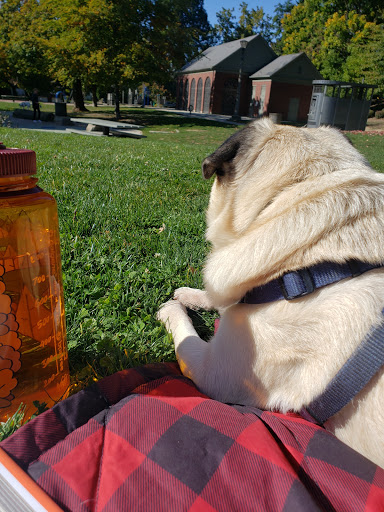 Park «Colonel Summers Park», reviews and photos, SE 17th Ave & Taylor St, Portland, OR 97214, USA