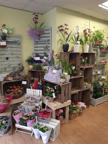 Reviews of Knighton Flower Box Ltd in Bridgend - Florist