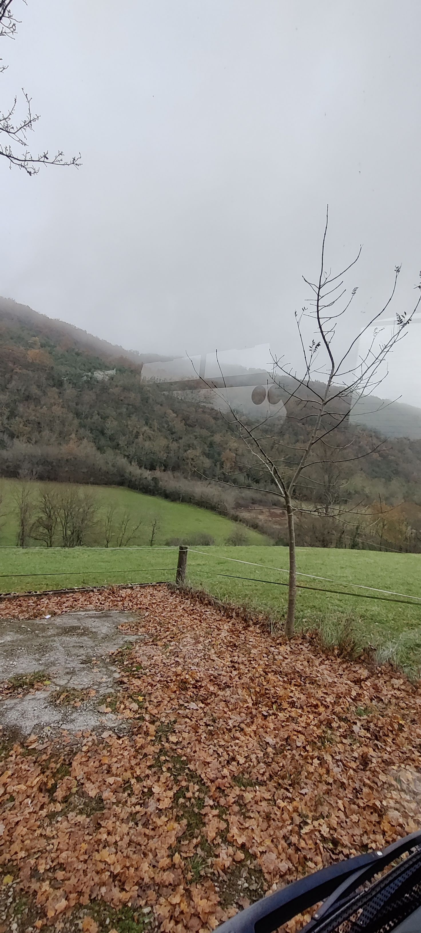 Photo n° 2 de l'avis de Franck.e fait le 09/12/2021 à 11:41