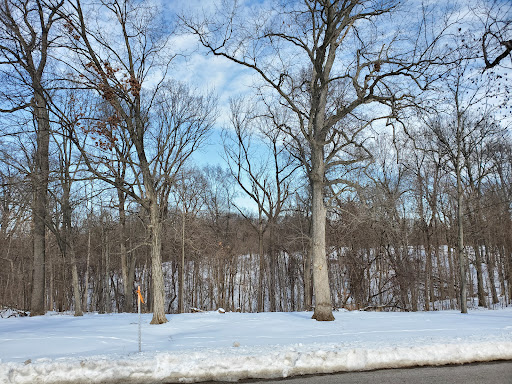 Recreation Center «Go Ape Zip Line & Treetop Adventure - Creve Coeur Park», reviews and photos, 13219 Streetcar Dr, Maryland Heights, MO 63043, USA