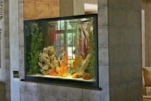 Quality Fish Aquarium image