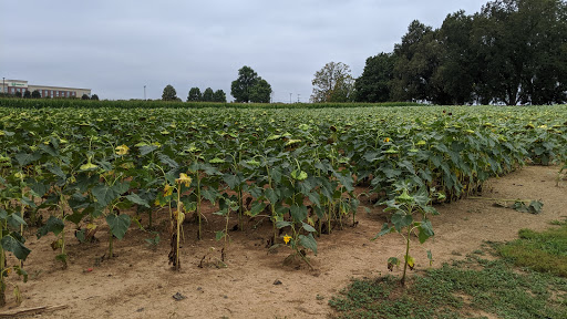 Event Venue «The Grove at Williamson Place», reviews and photos, 3250 Wilkinson Pike, Murfreesboro, TN 37129, USA