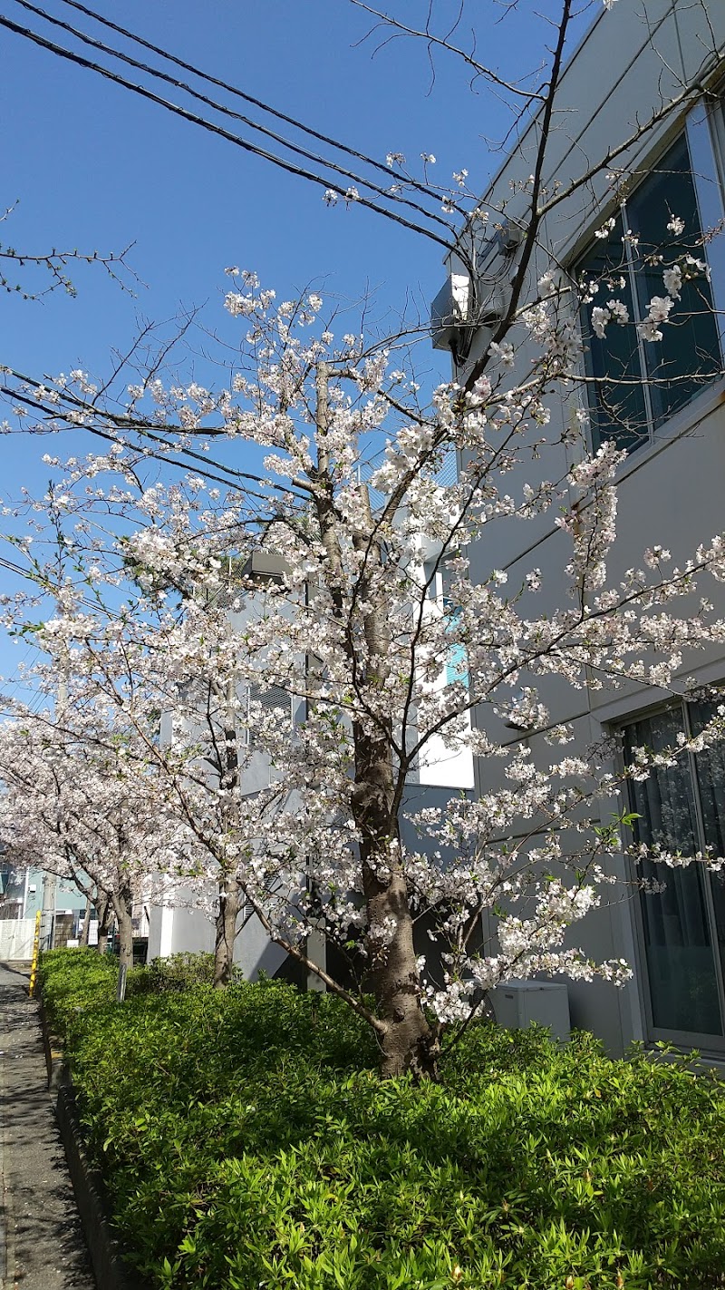 逗子開成中学校･高等学校