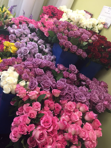 Florist «Exotica Florist», reviews and photos, 10376 Main Street, Fairfax, VA 22030, USA