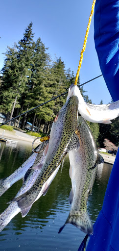 Park «Thornton A. Sullivan Park», reviews and photos, 11405 Silver Lake Rd, Everett, WA 98208, USA