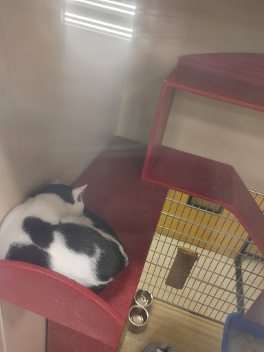 Pet Supply Store «PetSmart», reviews and photos, 6650 N Durango Dr, Las Vegas, NV 89149, USA