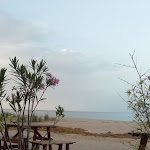 Photo n° 1 de l'avis de Isa.r fait le 04/07/2022 à 18:28 pour La Paillote à Solaro