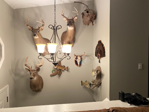 S&S Taxidermy