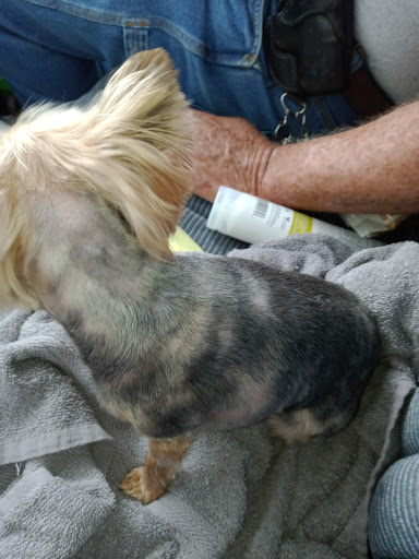 Pet Supply Store «Petco Animal Supplies», reviews and photos, 2714 Mountaineer Blvd, Charleston, WV 25309, USA