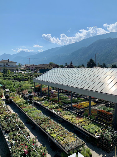 Rezensionen über Point Vert Uvrier in Sitten - Gartenbauer