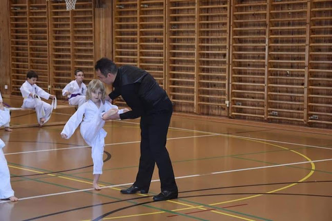 Suisse Taekwondo Union Öffnungszeiten