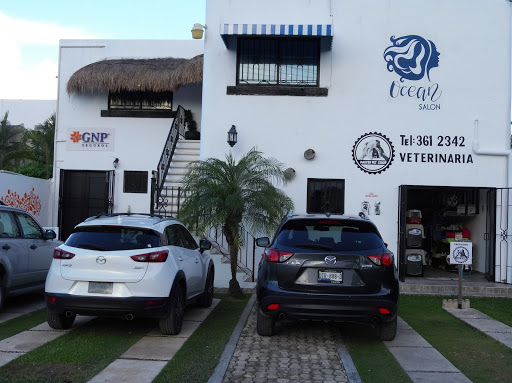 Franchises hairdressers Cancun