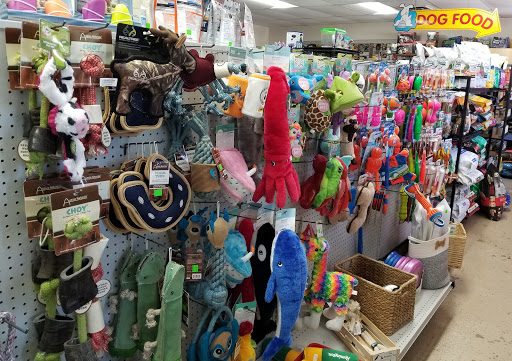 Pet Supply Store «The Grooming Place Pet Shop», reviews and photos, 1713 Main St, Chester, MD 21619, USA